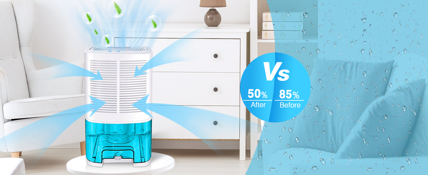 dehumidifier for bathroom