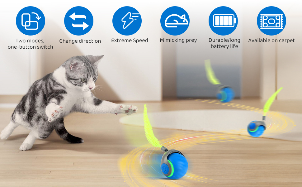 rolling cat toy