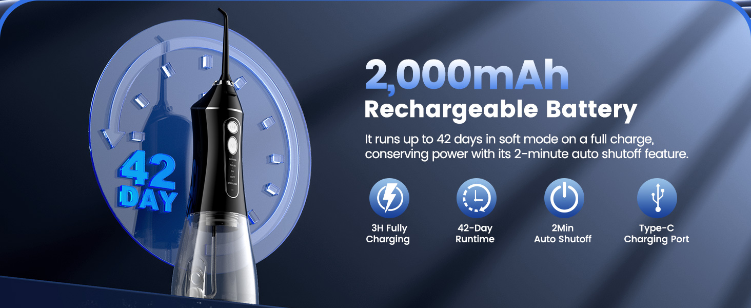 portable water flosser