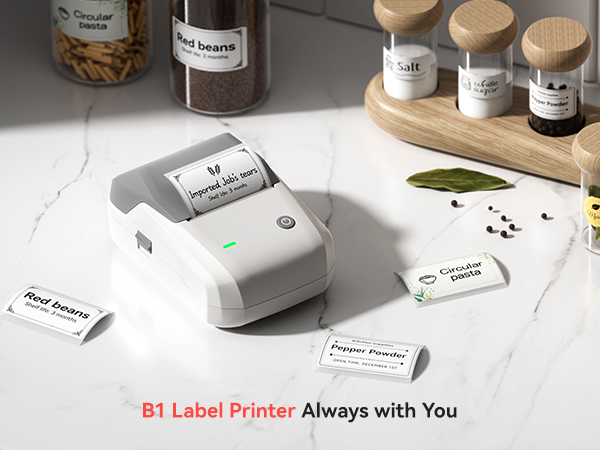 NIIMBOT LABEL MAKER