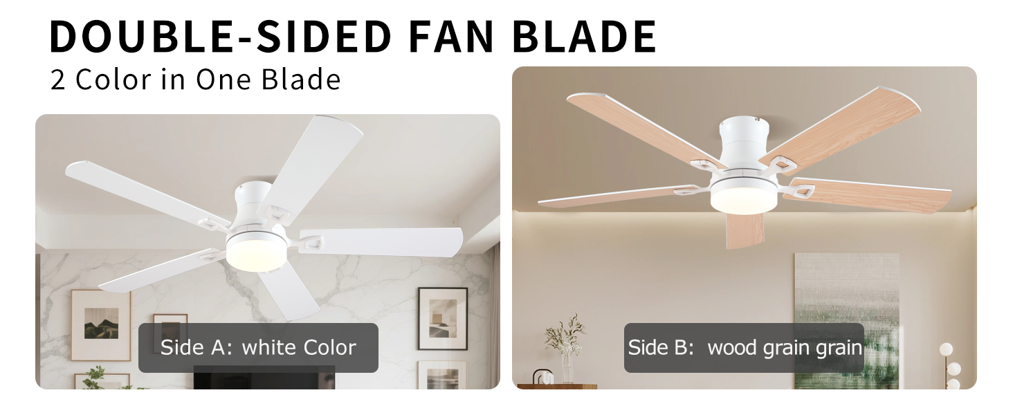 ceiling fan