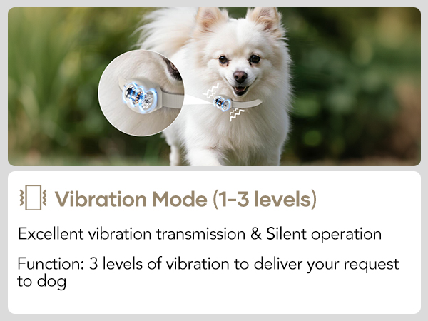 Vibration
