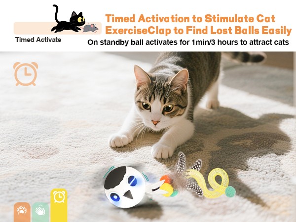 interactive cat toy