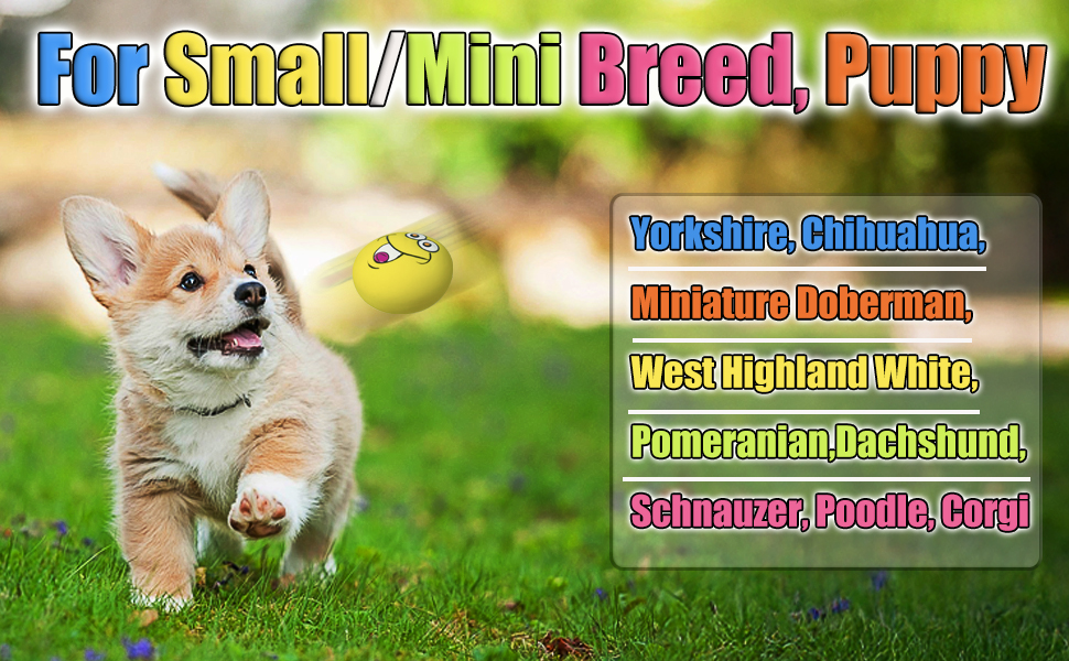 latex dog squeaky toys for small dogs
