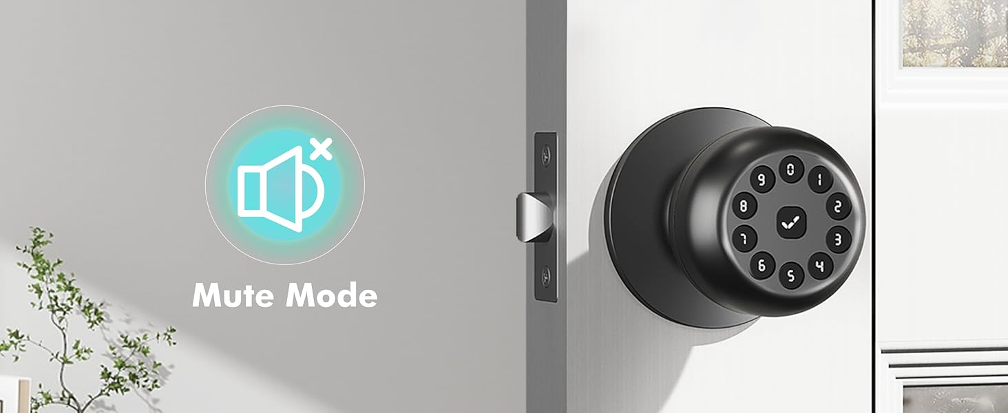 Mute Mode Door Lock