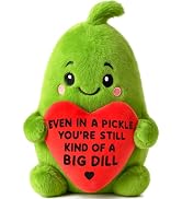Emotional Positive Support Pickle Birthday Gifts for Women Men Christmas Sister Friend Teen Mom D...