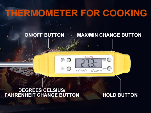 Electronic Pocket Thermometer 