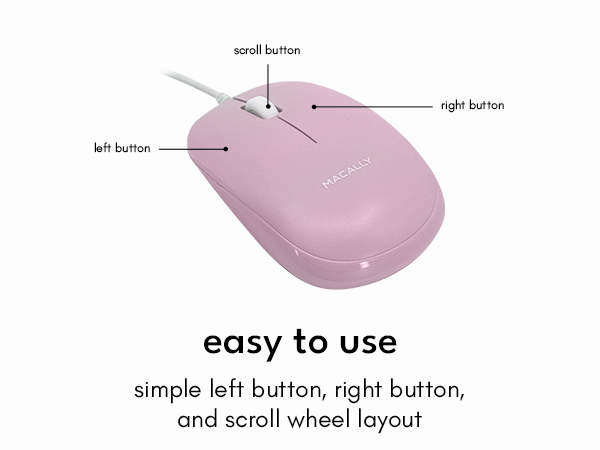 mouse