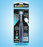 BrushMyTeeth Big Dog