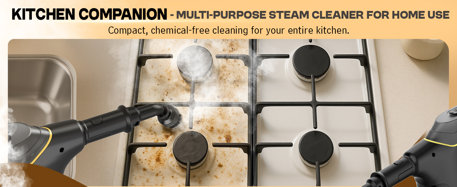 Heavy Duty Steam Cleaner