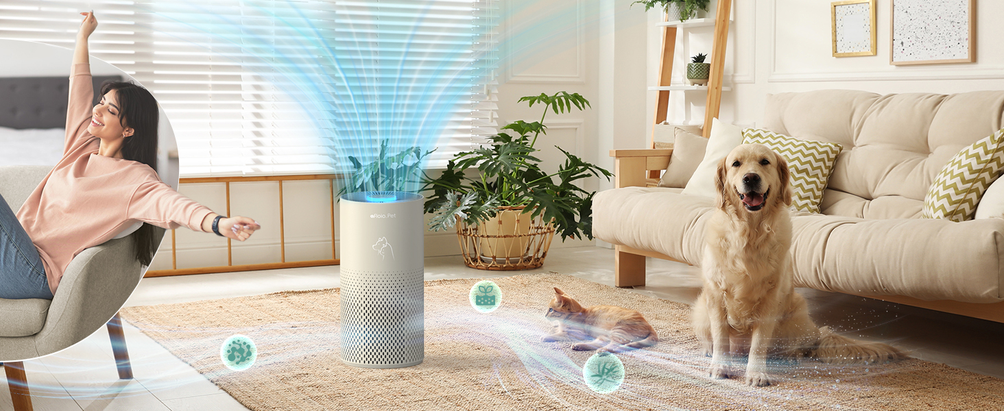 air purifier for home pets