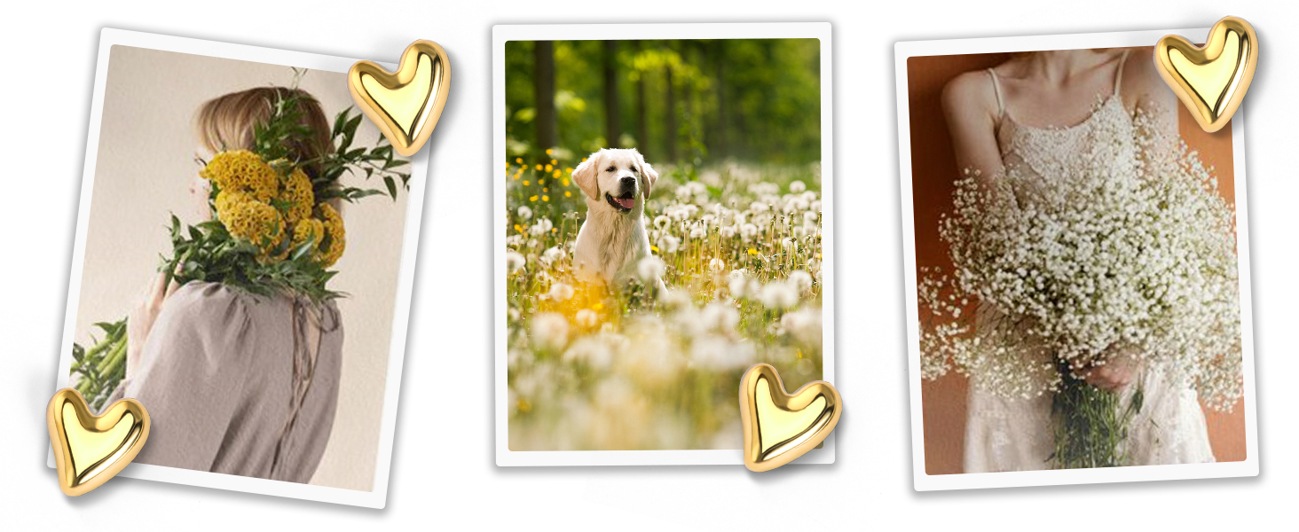 thumb tacks for wall