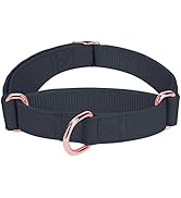 Soft Leather Martingale Dog Collar - Adjustable Rose Gold Limited Slip Collars [Easy to Clean], S...