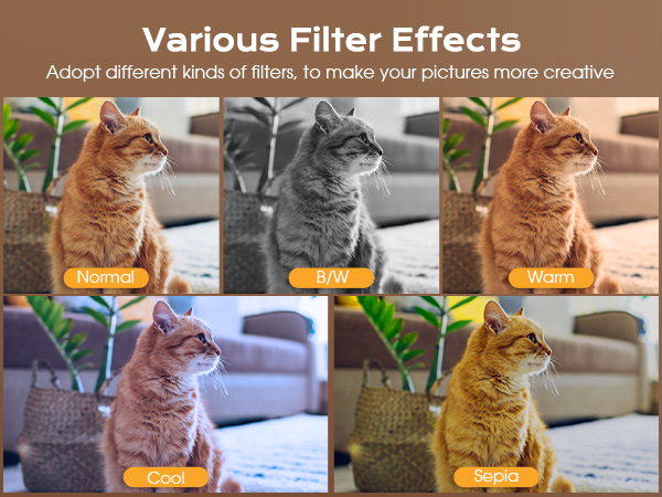 Various Filters