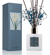 Cocorrína Premium Reed Diffuser Set with Preserved Baby's Breath &amp; Cotton Stick Cashmere Vanilla ...