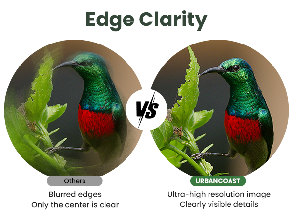 Edge Clarity