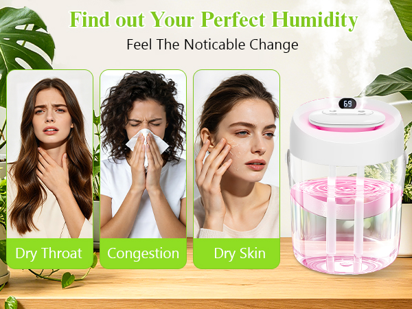 Portable Small Humidifier for Bedroom, Aroma Diffuser Personal Desktop Plant Humidifier Indoor