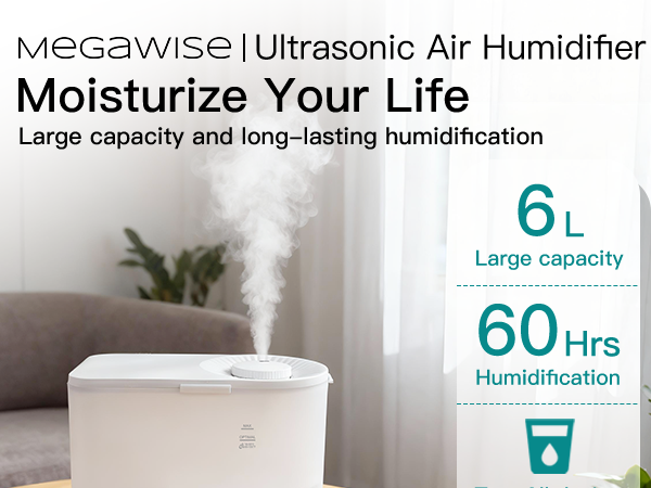 Humidifier