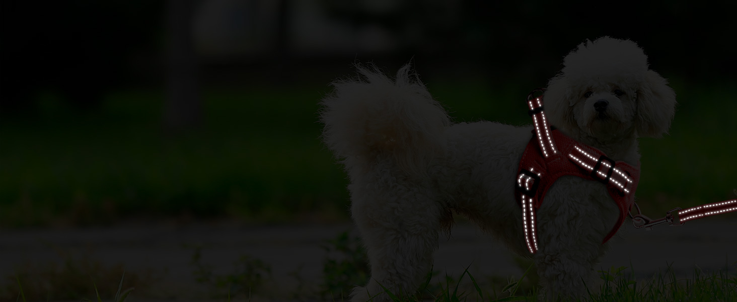 Step in dog vest harness , reflective adjustable puppy No pull harness