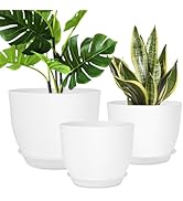 YNNICO Plant Pots 12/10/9 inch Set of 3, Flower Pots with Multi Mesh Drainage Holes, Large Plante...