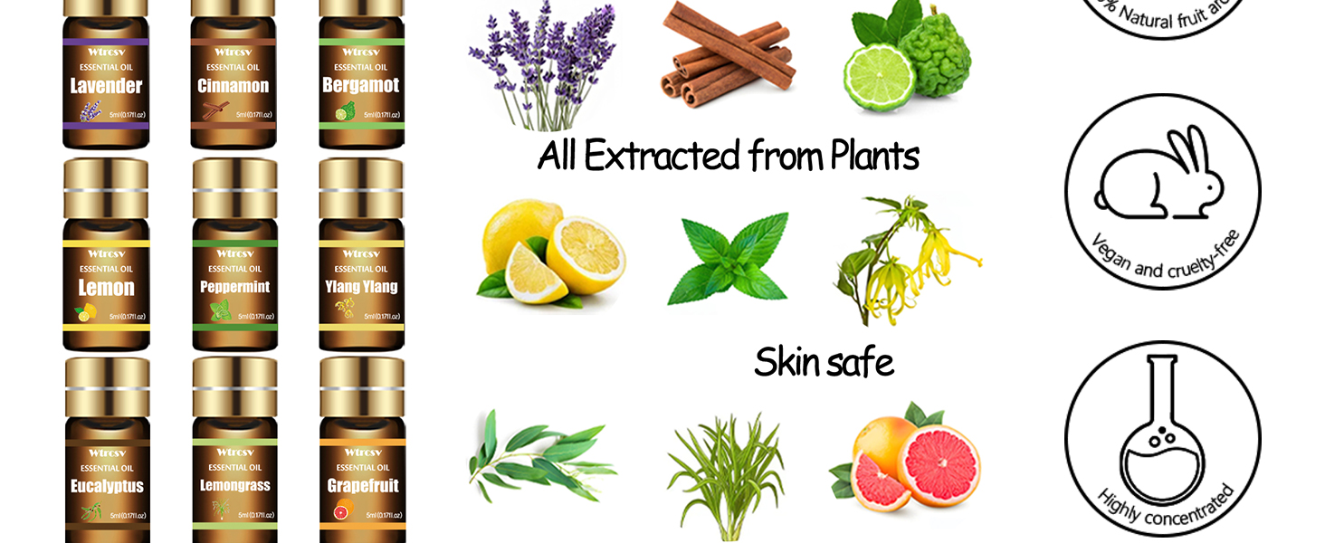 Humidifiers Fragrance