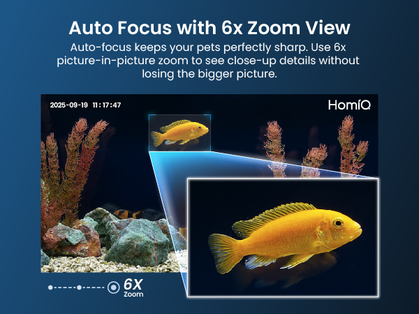 Auto Focus with 6x Zoom View