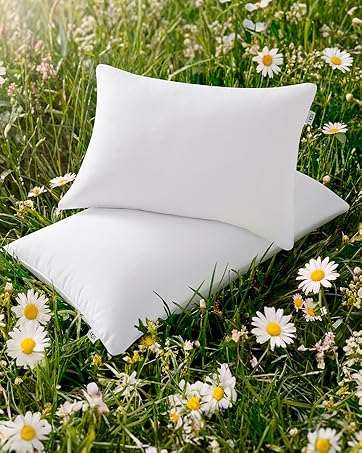 down alternative pillow