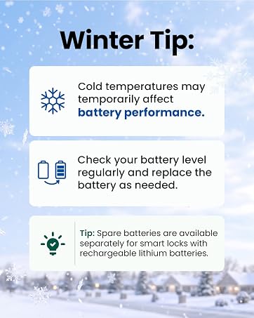 Winter Battery Care Tips