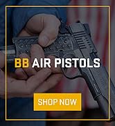 SIG Sauer 1911 We The People CO2 BB Pistol air Pistol