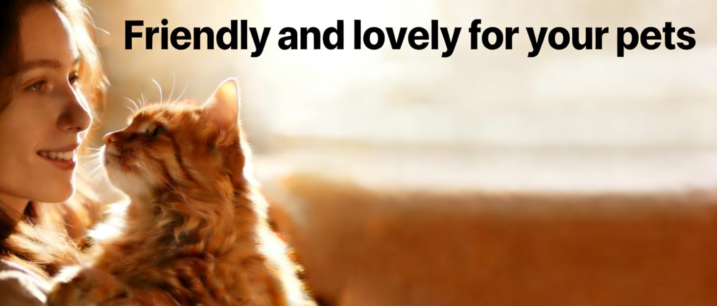 Automatic Cat Feeders 4L Timed Cat Dry Food Dispenser Dual Power Supply Programmable Portion