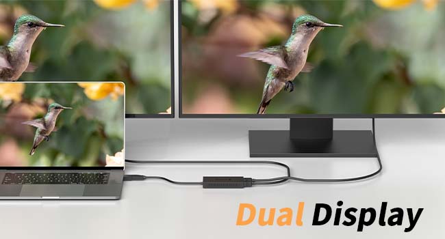 hdmi extender for dual monitors