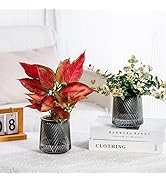 Funducts 2PCS Self Watering Planters 4.9 Inch Self Watering Pots for Indoor Plants, African Viole...