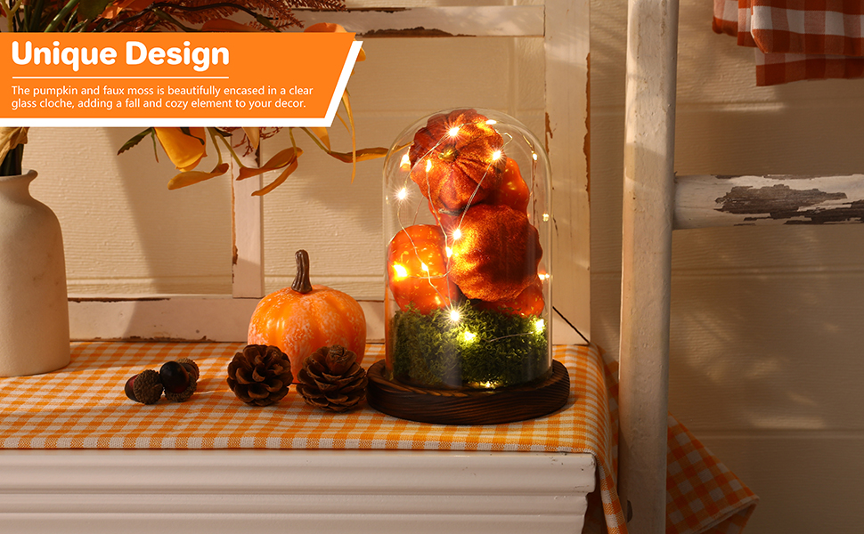 Fall Decorations for Home