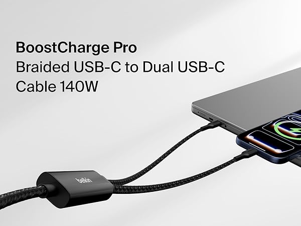 Dual USB-C Cable