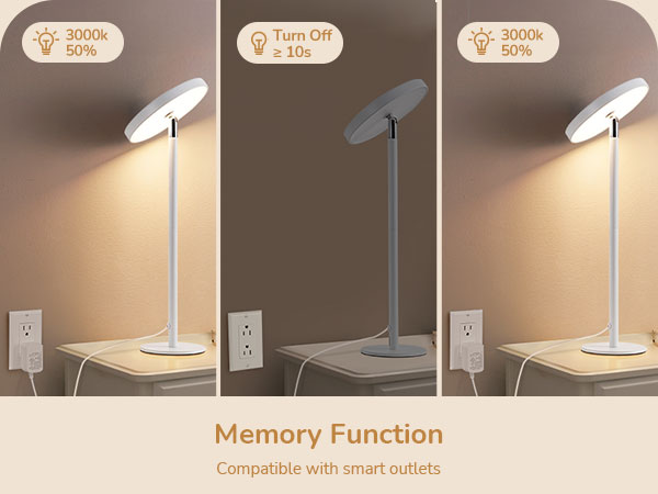 Memory Function