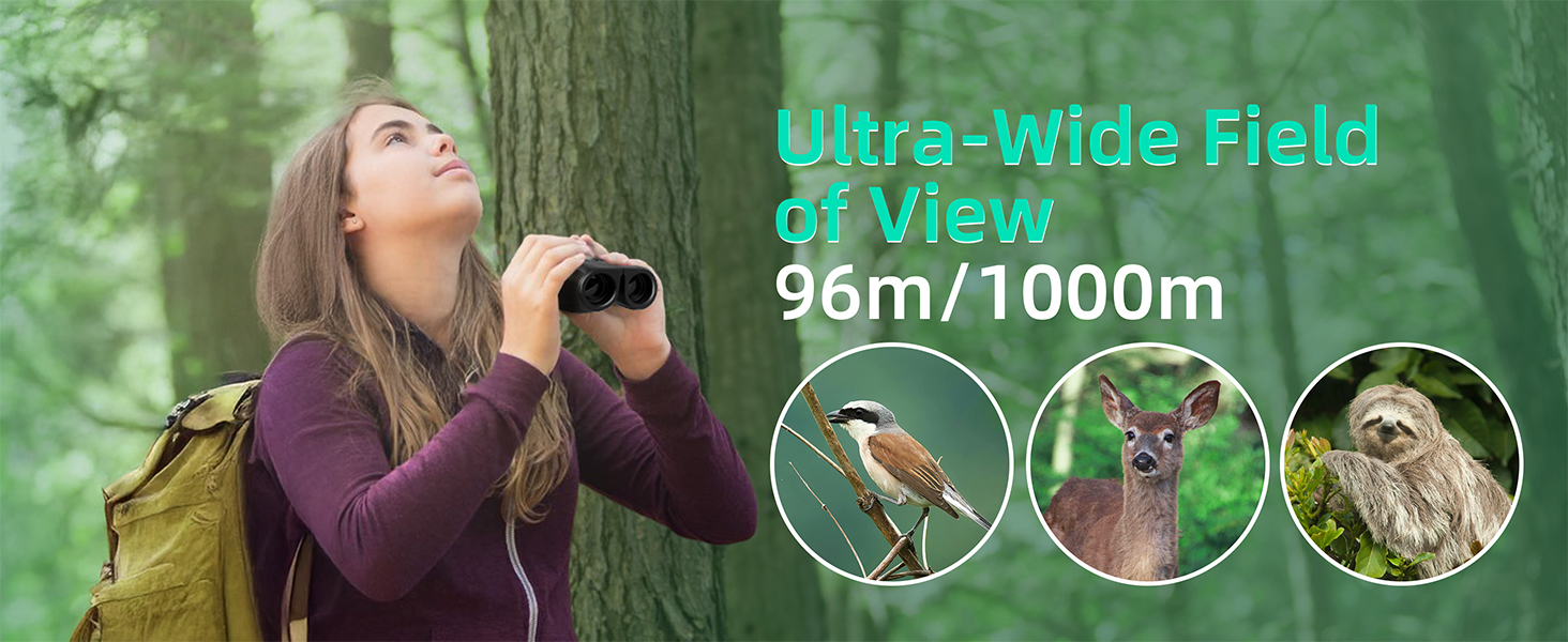 12× magnification and a wide field of view