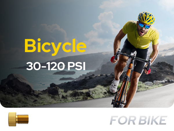 WARWOLF 160PSI Tire Inflator