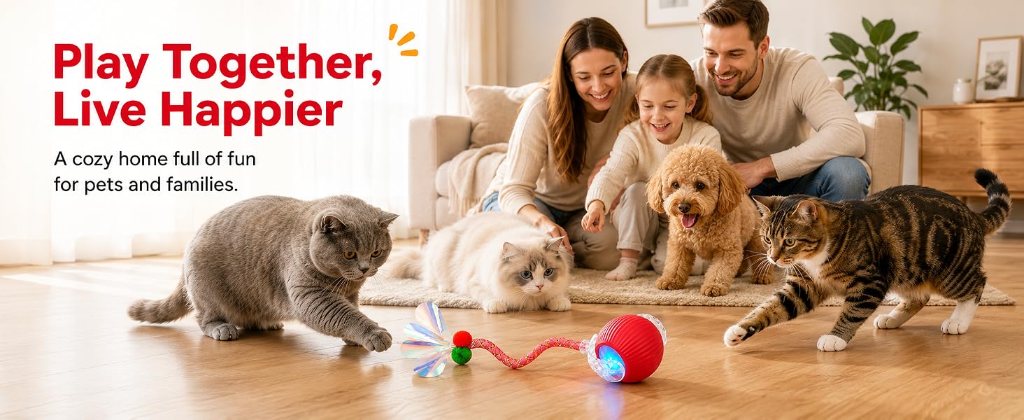 chirping bird cat toy