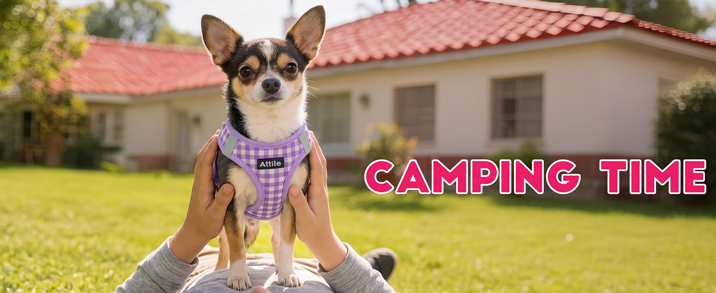 AIITLE No Pull Dog Harness and Leash Set, Step in No Chock Soft Mesh Dog Harnesses