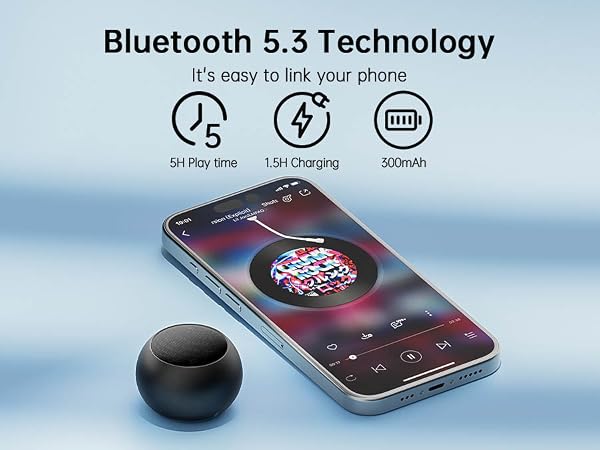 Mini Speaker