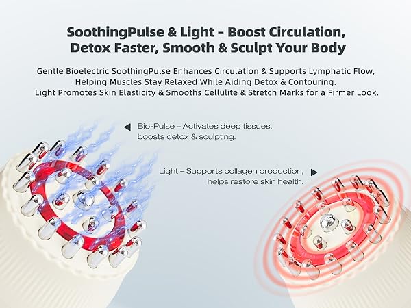 Cellulite Massage tool