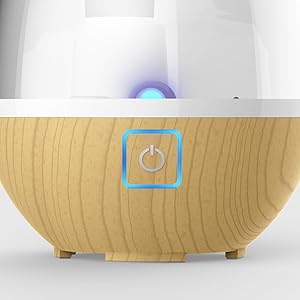 Illuminated touch control.