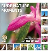2026 Funny Wall Calendar 12 Month, Large Wall Calendar 2026 from January to December 2026, Nature...