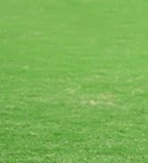 FASTMOMENT 2 Pcs Stadium Seat Cushions Waterproof Bleacher Seat Cushions Indoor &amp; Outdoor Seat Cu...