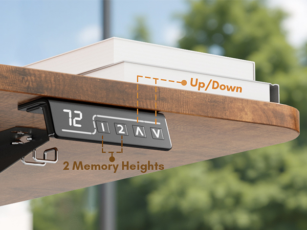 Electric Height Adjustable Standing Desk