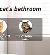 Cat Litter Box