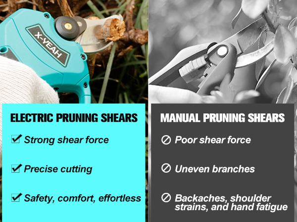 Pruning Shears