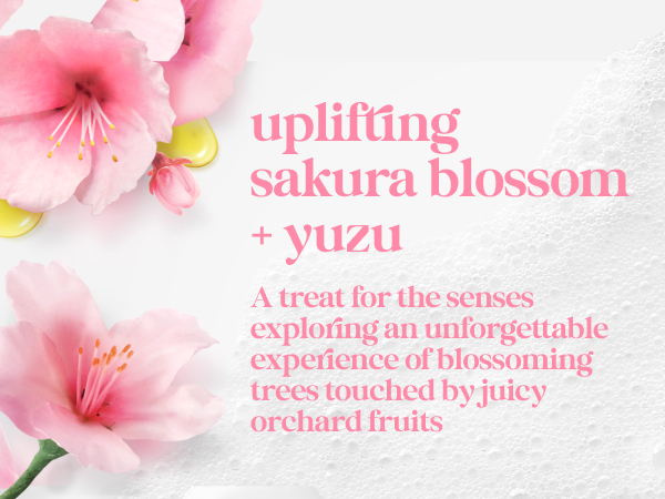 Soft pink sakura blossoms &amp; golden yuzu droplets rest on a textured white background with airy foam.