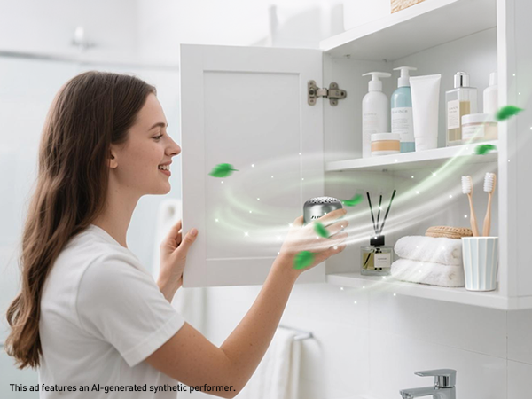 Fridge Deodorizer