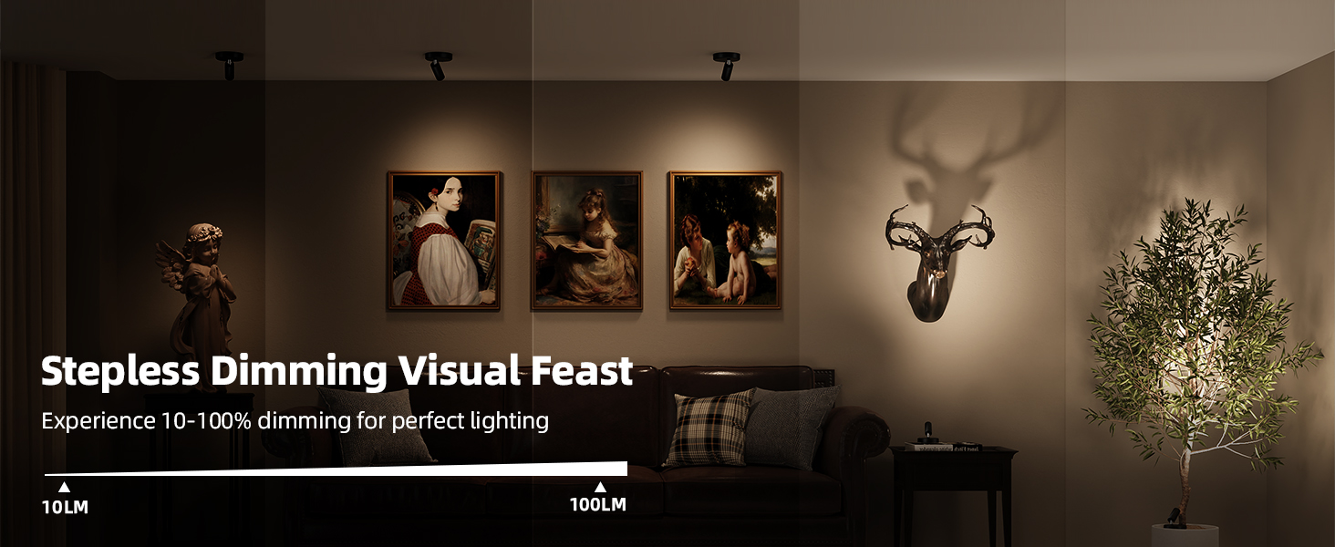 plant spotlight indoor